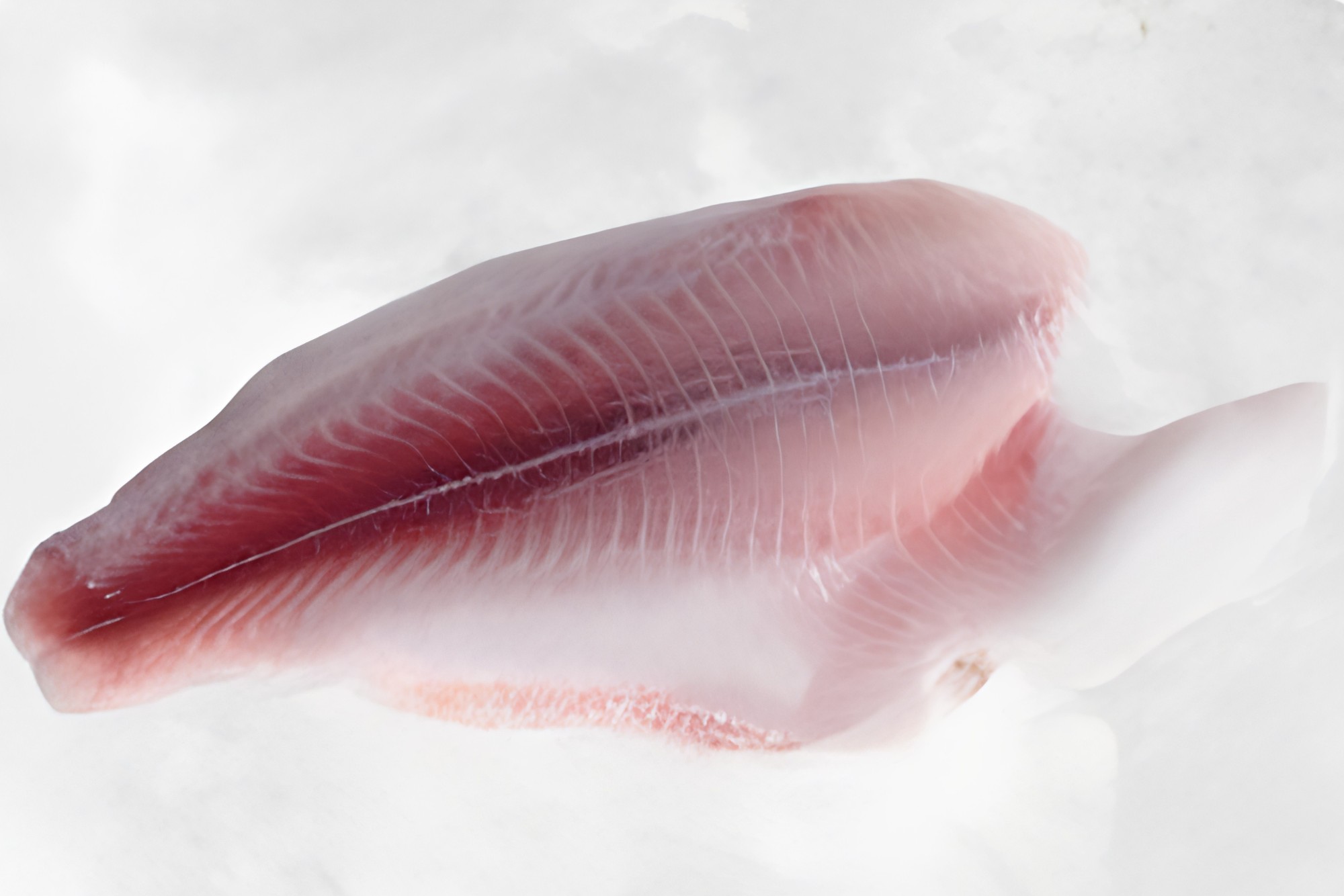 Un-trimmed fillet