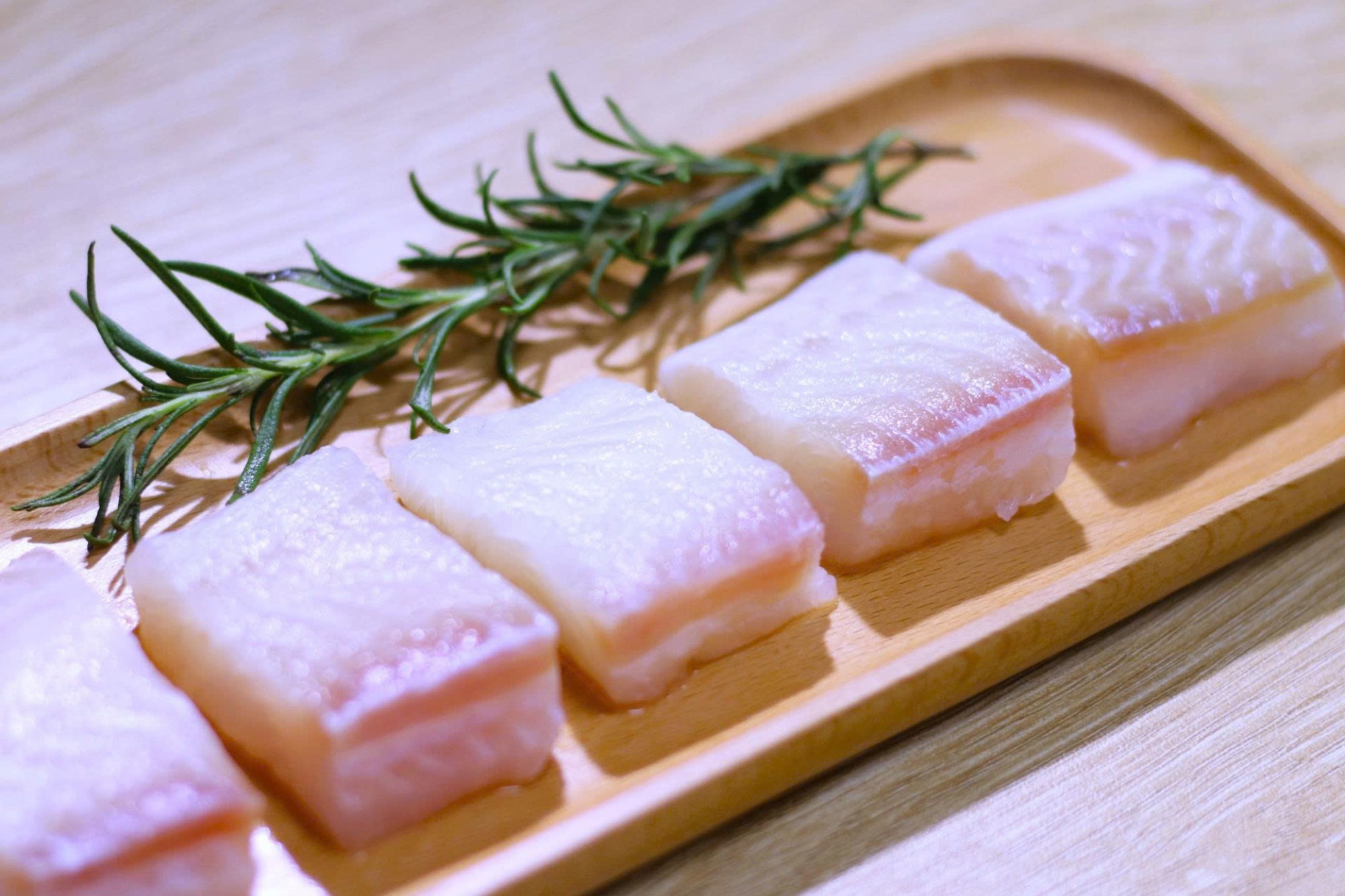 PANGASIUS