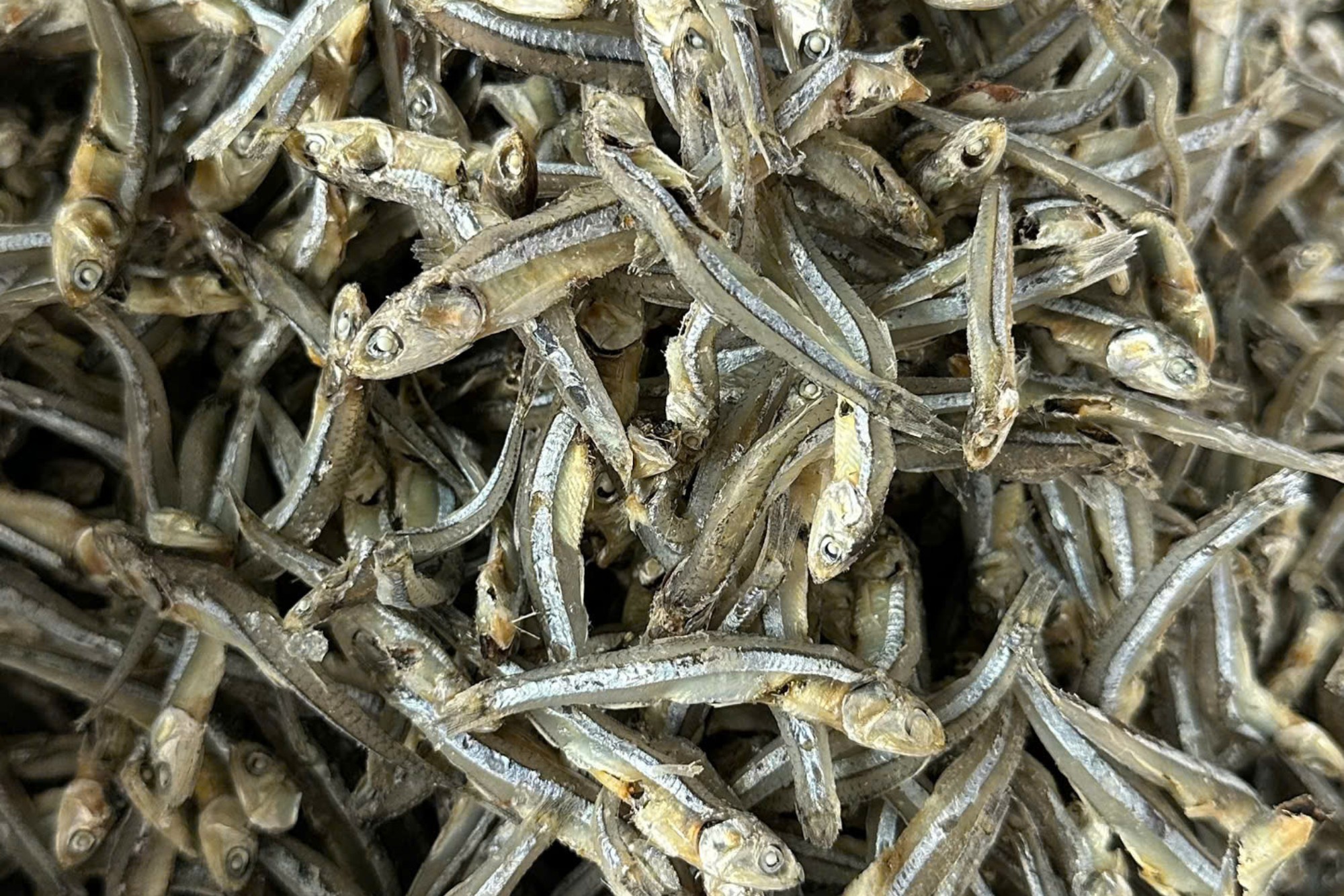 DRIED PRODUCTS