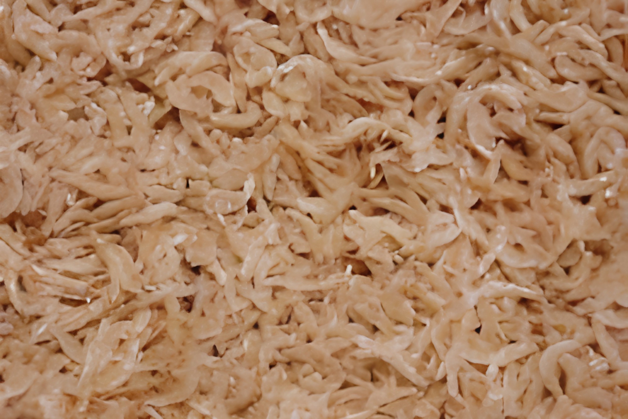DRIED BABY SHRIMP