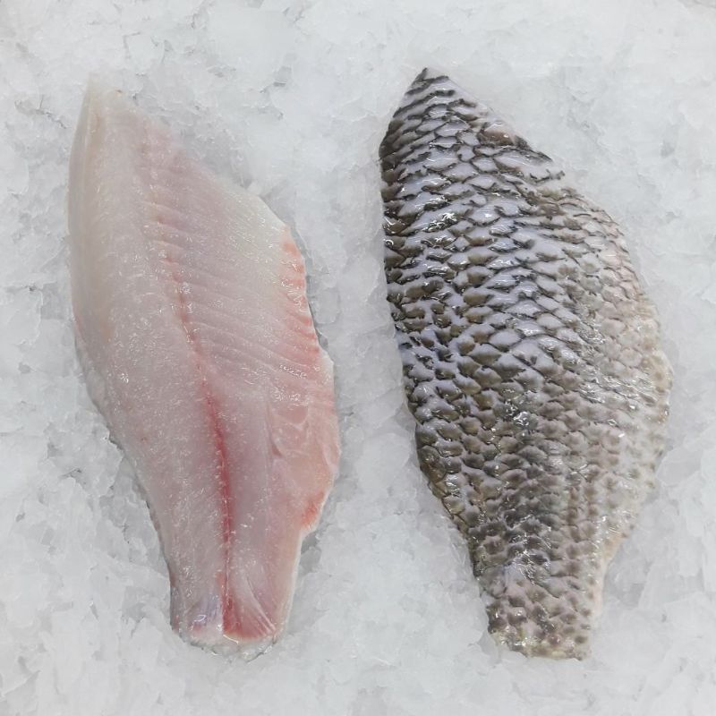 Frozen Black Tilapia fillet skin on, boneless