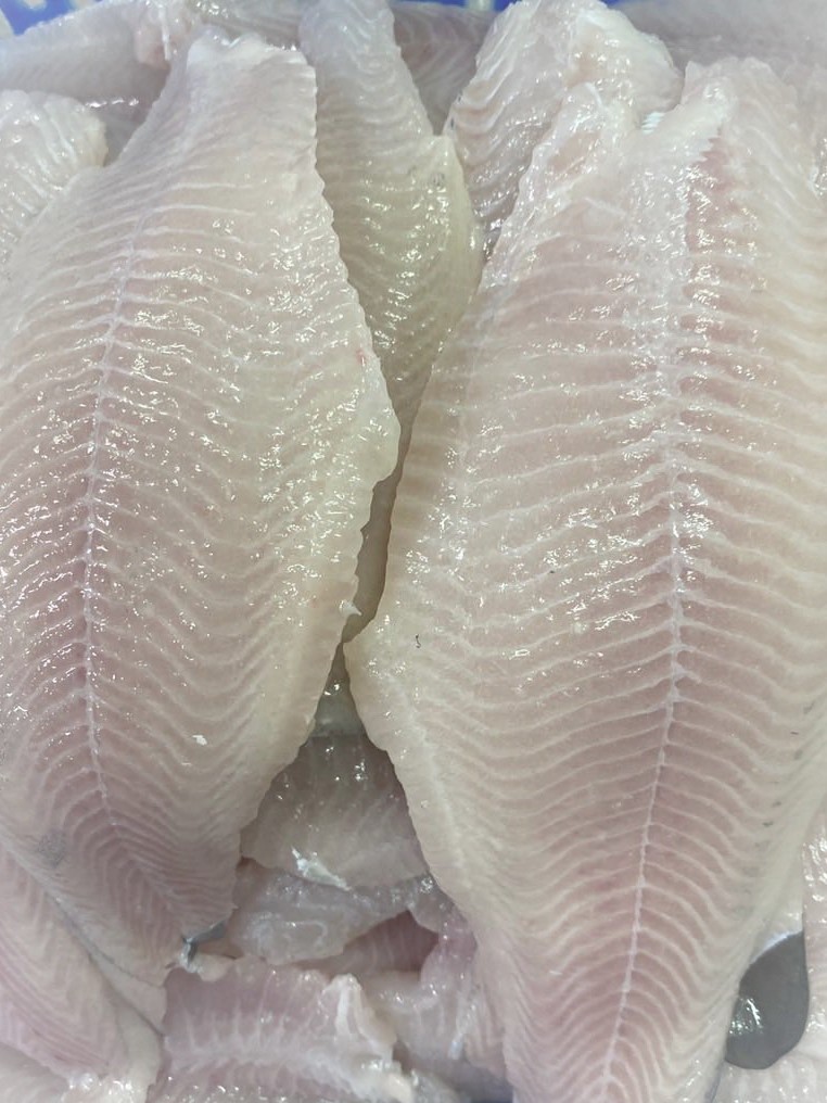 Frozen Grouper fillet skinless, boneless