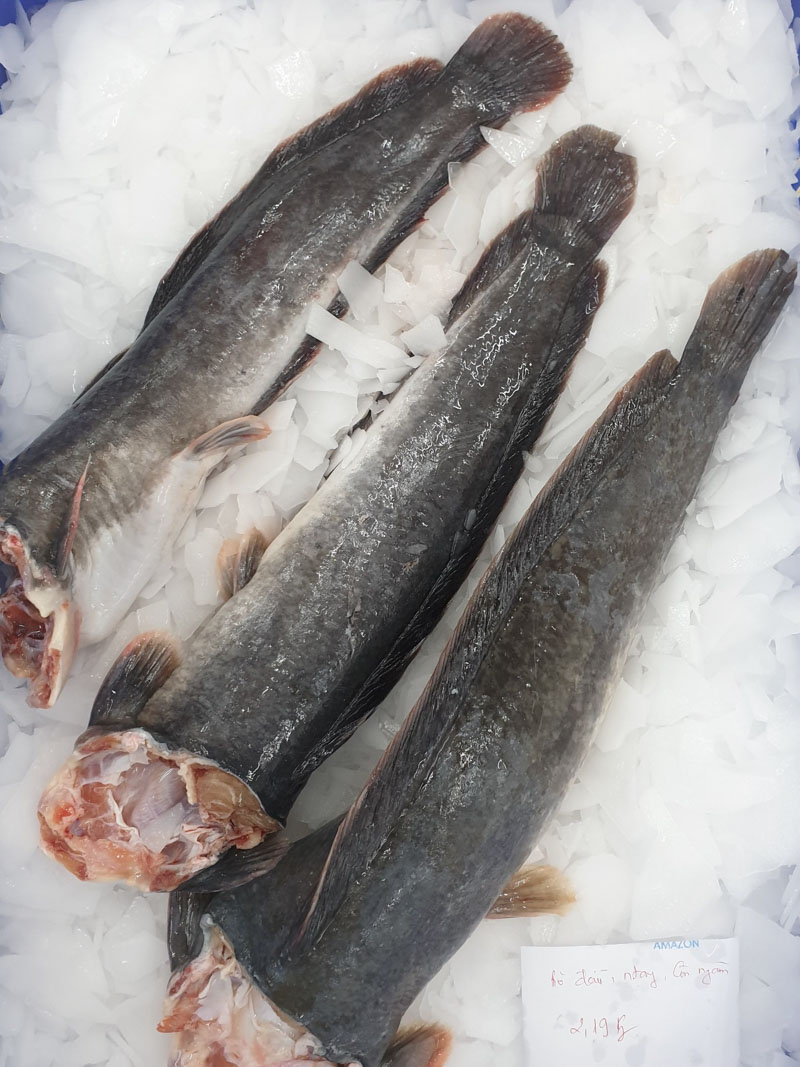 Frozen Broadhead fish HGT