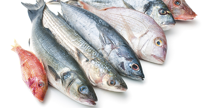 Otherfish