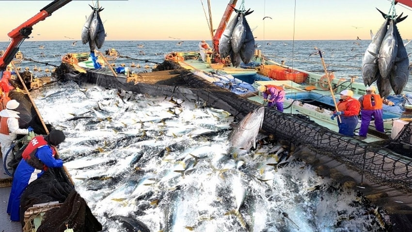 Which seafood products in the US were most severely affected by the conflict?