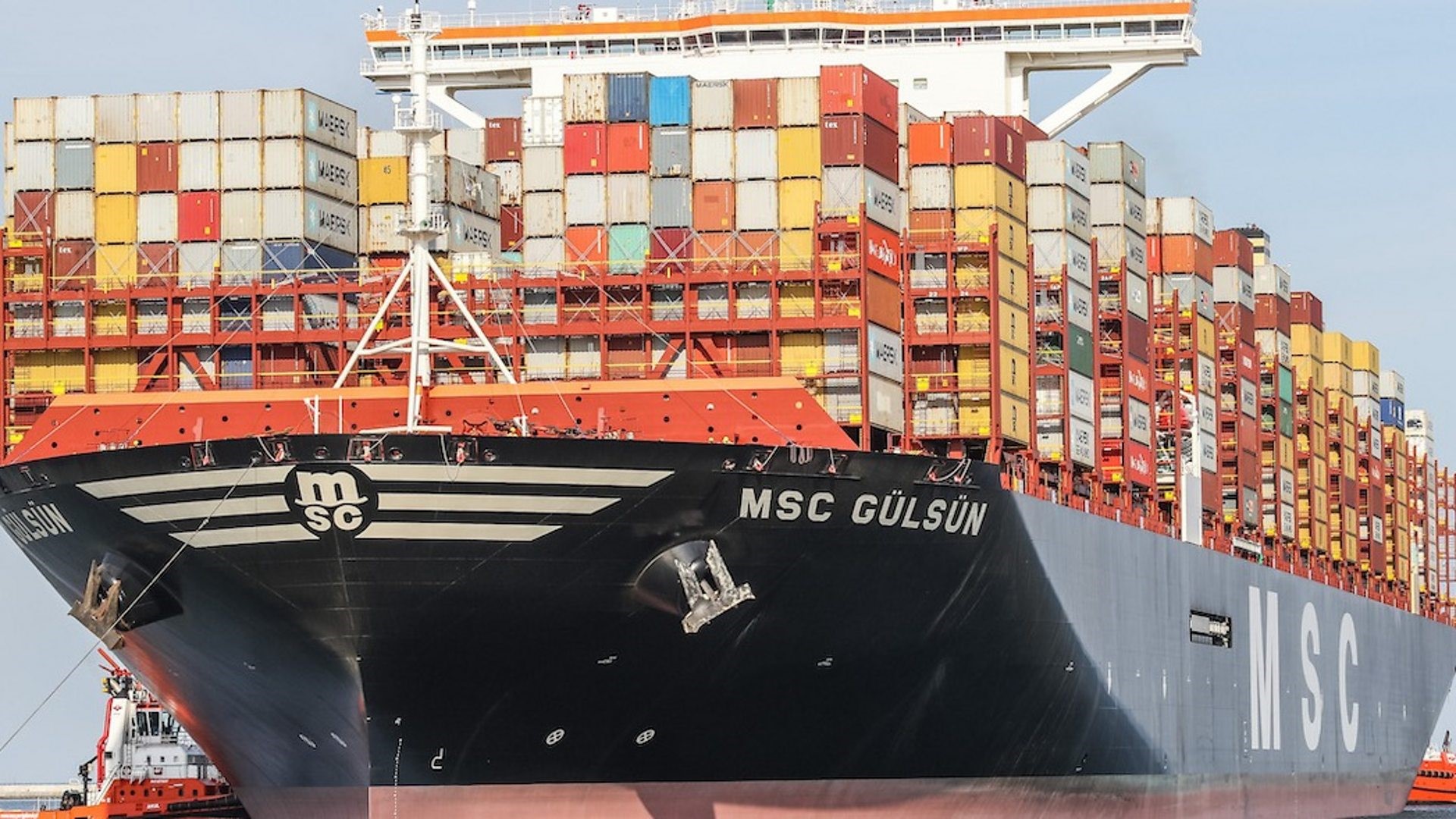 Seafood exports are expected to grow strongly in early 2026.