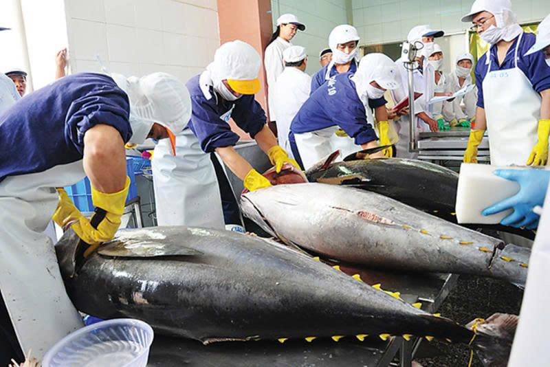 Asia Emerges as a Key Growth Driver for Vietnam’s Seafood Exports